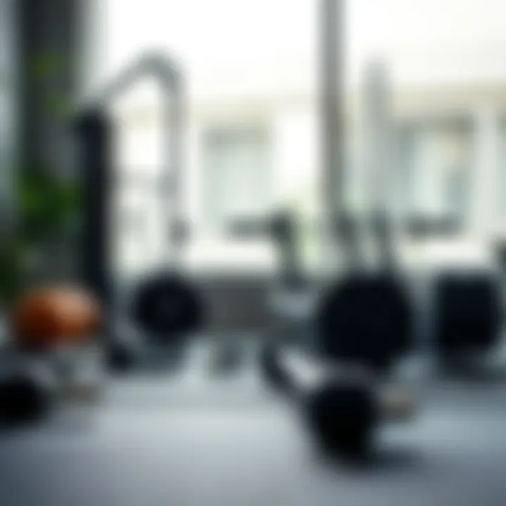 Home workout equipment for building muscle