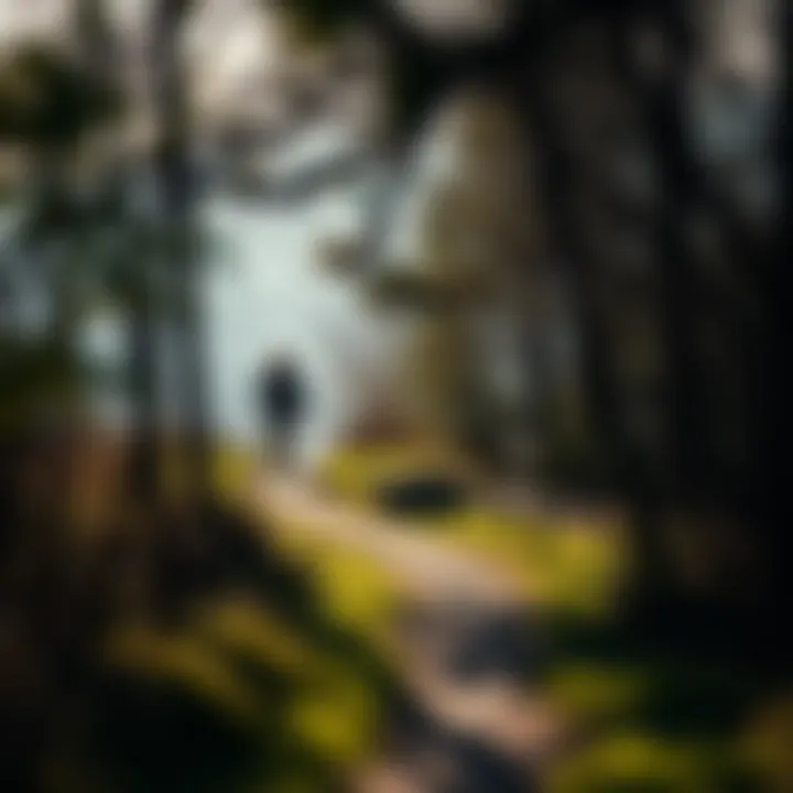 Nature's Embrace: A Walking Trail A serene walking trail surrounded by nature