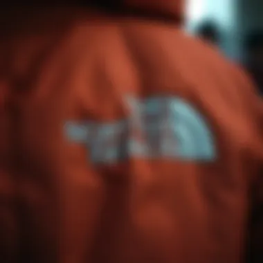 Close-up of the North Face parka's high-quality fabric and insulation features.