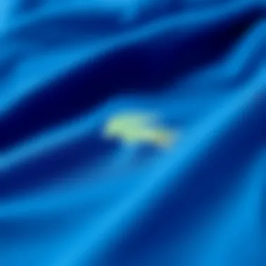 Close-up of high-quality fabric used in Lacoste t-shirts