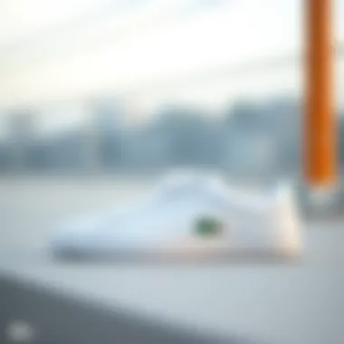 Comparison of Lacoste shoe sizes in different regions