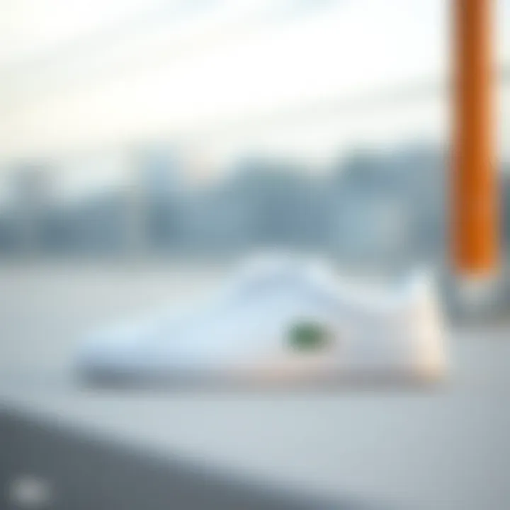 Comparison of Lacoste shoe sizes in different regions