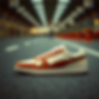 Tracing the Evolution of Maskaret Shoes A historical display of Maskaret shoes evolution