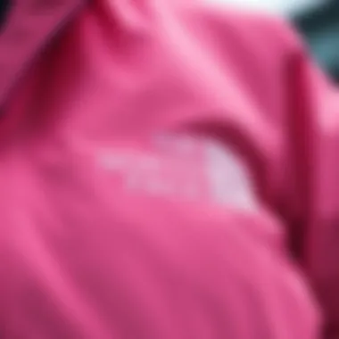 Detailed view of the North Face pink jacket showcasing its fabric and stitching