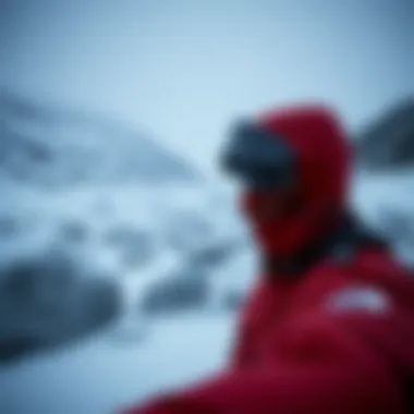 Cozy North Face Polar jacket in snowy landscape