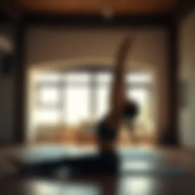 Demonstration of paired yoga techniques