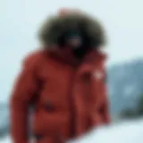 Stylish polar jacket design