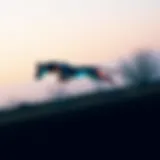 Dynamic action shot of Puma X-Ray in motion