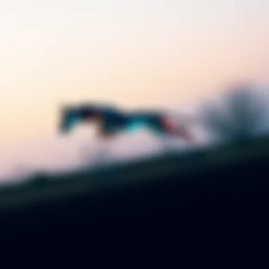 Dynamic action shot of Puma X-Ray in motion