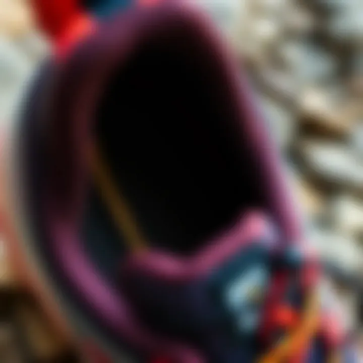 Close-up of the comfort-enhancing interior of the shoe