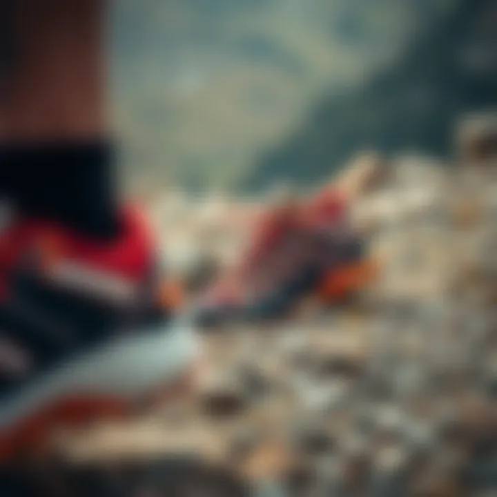 Salomon Quest 4D GTX Forces 2 in action on a challenging terrain