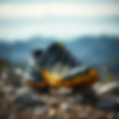 Salomon Quest 4D GTX Forces 2 showcasing its rugged design