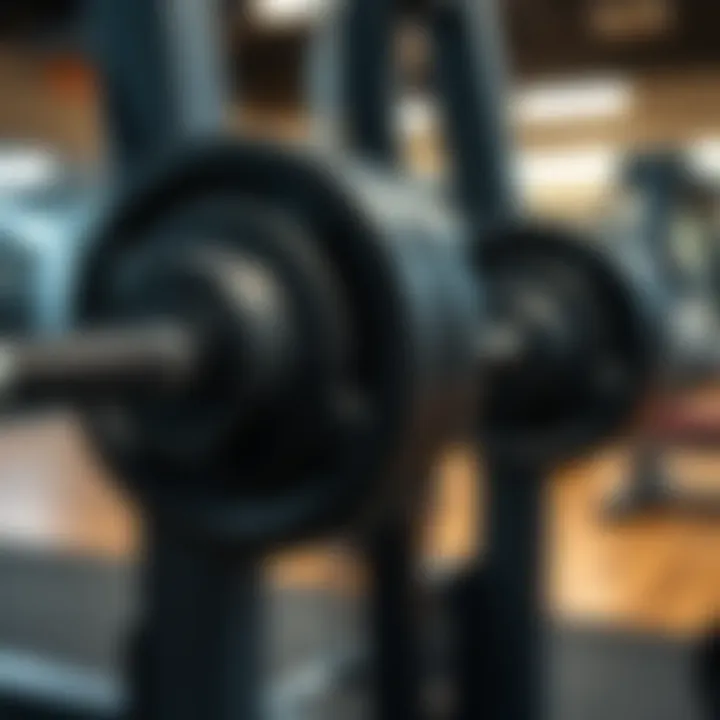Weights on Smith Machine Close-up of weights on a Smith machine for squat exercises