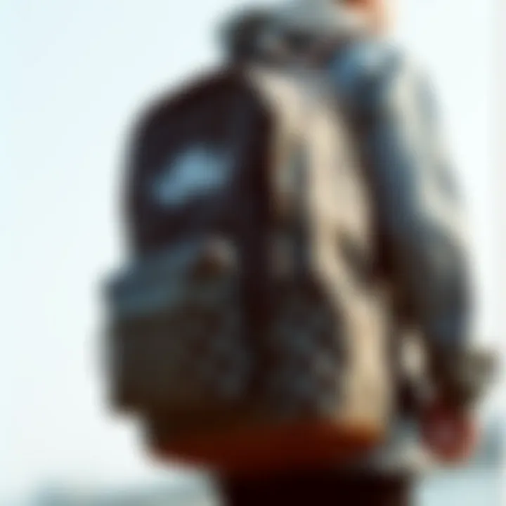 Vans Off The Wall backpack showcasing stylish patterns