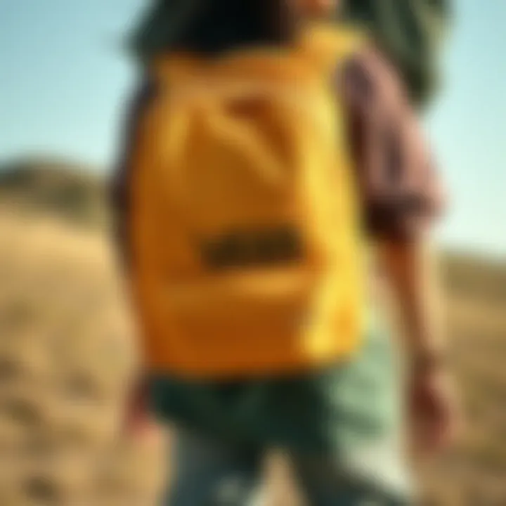 Functional design of Vans Off The Wall backpacks